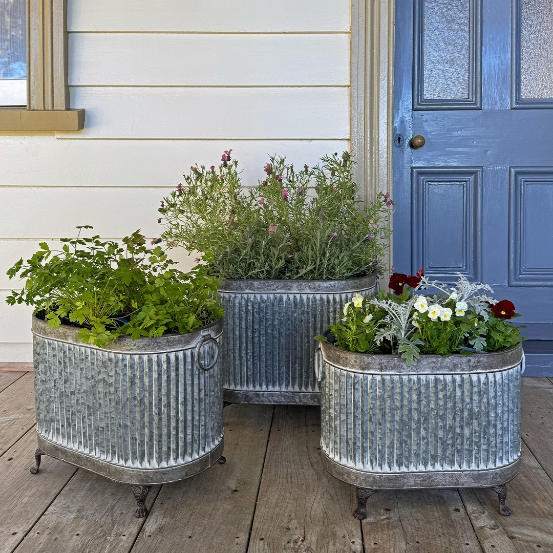 Zinc
